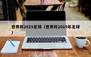 世界杯2019足球（世界杯2019年足球）