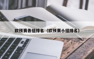 欧预赛各组排名（欧预赛小组排名）