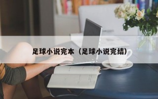 足球小说完本（足球小说完结）