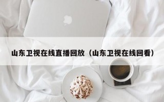 山东卫视在线直播回放（山东卫视在线回看）