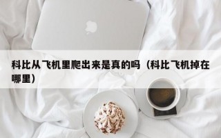 科比从飞机里爬出来是真的吗（科比飞机掉在哪里）